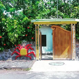 Guest house Galapagos Dove